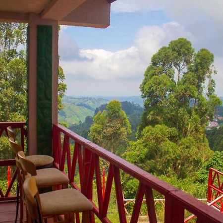 Hotel Natura Cocora Саленто Екстер'єр фото