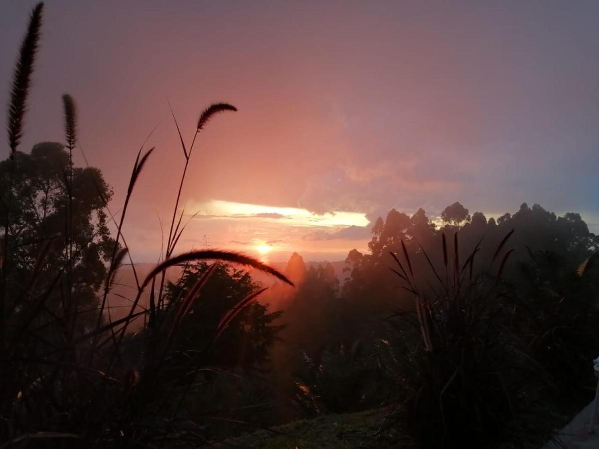Hotel Natura Cocora Саленто Екстер'єр фото